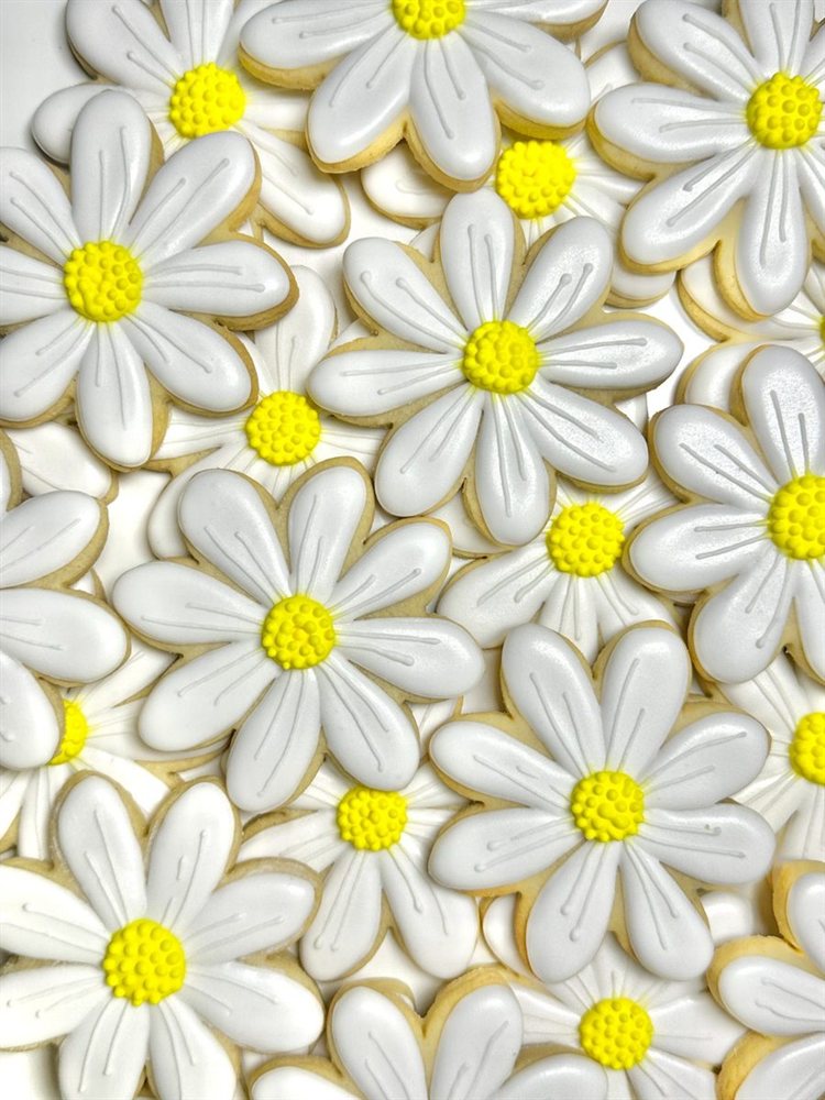 Standard design sugar cookies — white daisies