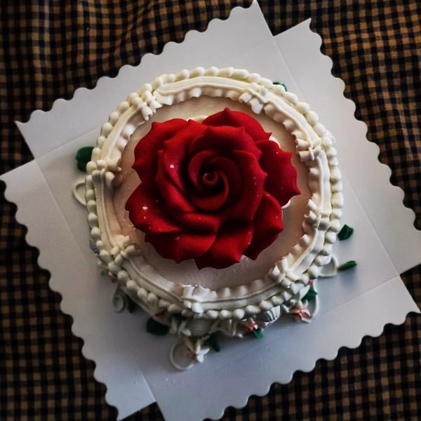 White cake with a deep-red sugar rose