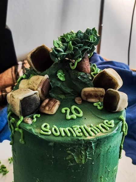 Succulent garden cake