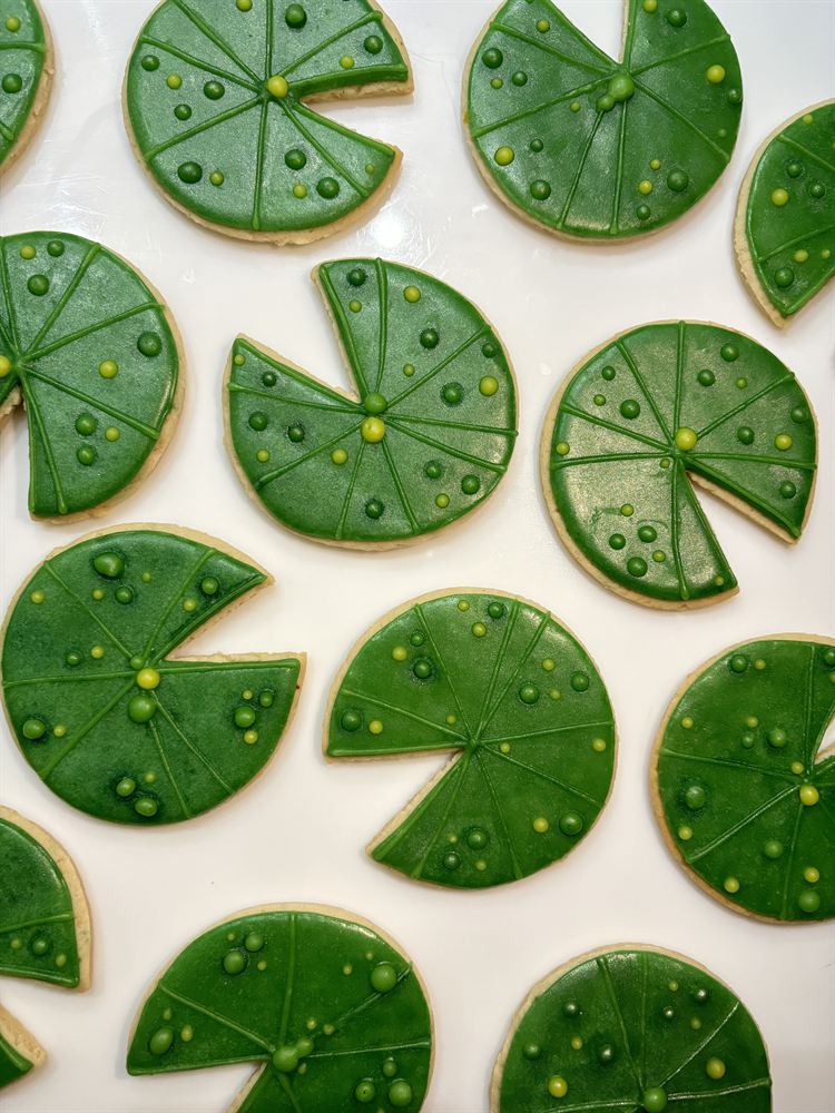 Custom hand-decorated sugar cookies — set 12