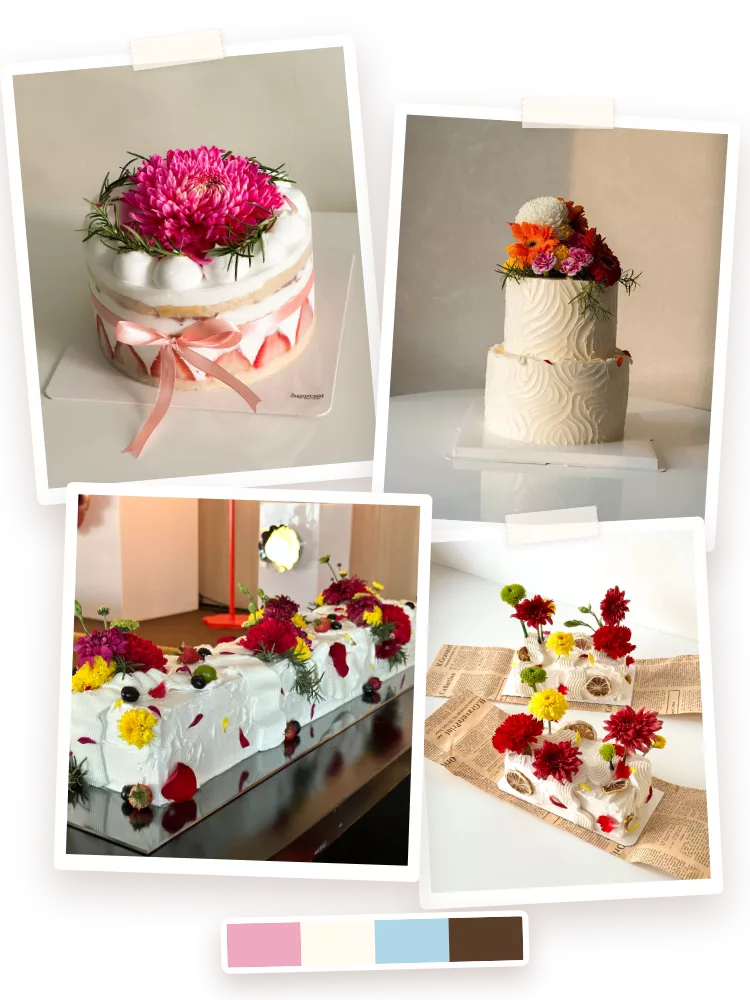 Cake pegs — four printed photos of Sugarcoat cakes taped above a colour-swatch strip: a fraisier, a two-tier, a slab and mini slabs